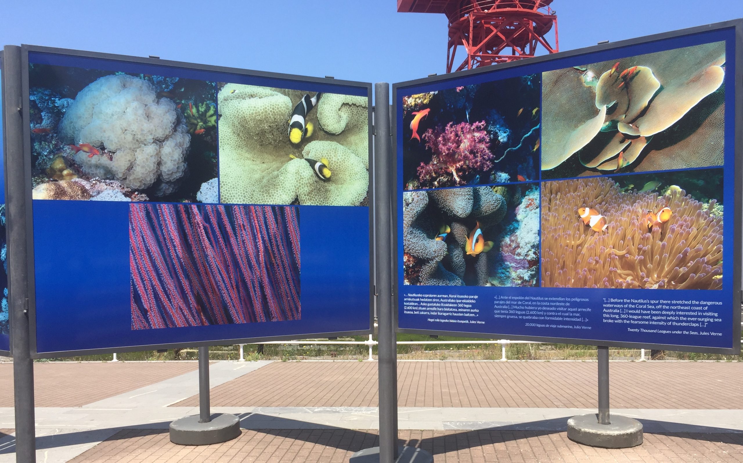 Una de las exposiciones que realizamos anualmente para el Jardín del Buen Retiro de Madrid, nuestra exposición sobre los Océanos