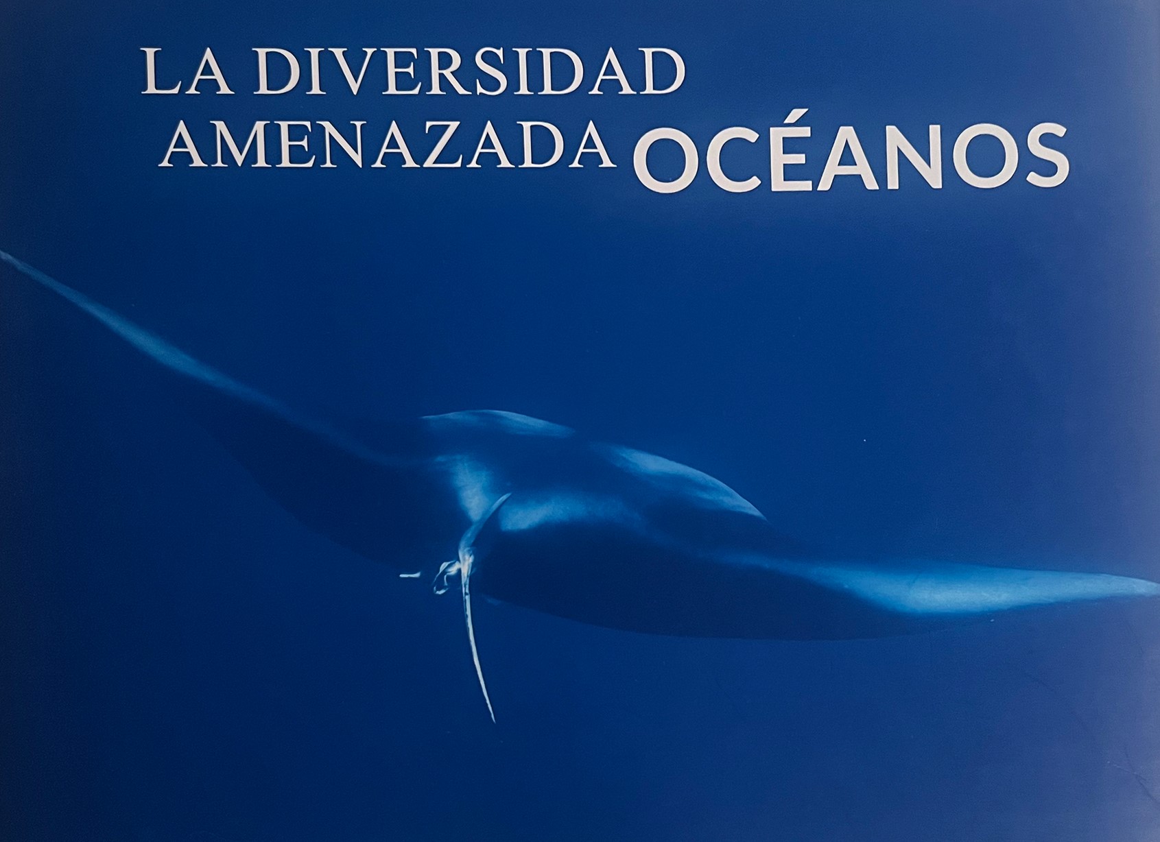 La diversidad amenazada de los océanos
