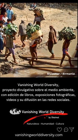 Vanishing World 1
